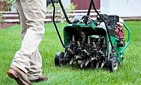 Custom yard cleanup service in Leander, TX by Denton Lawn Care