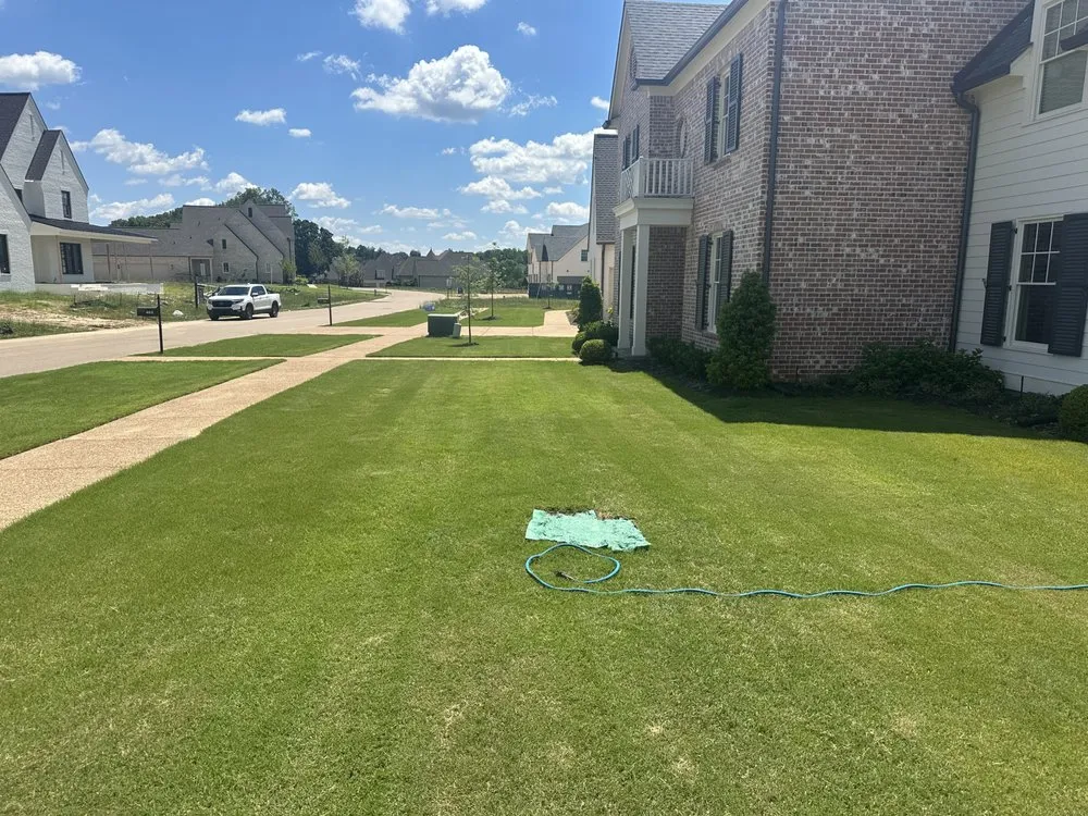 Professional yard cleanup service in Collierville, TN by D’Entremont Landscaping