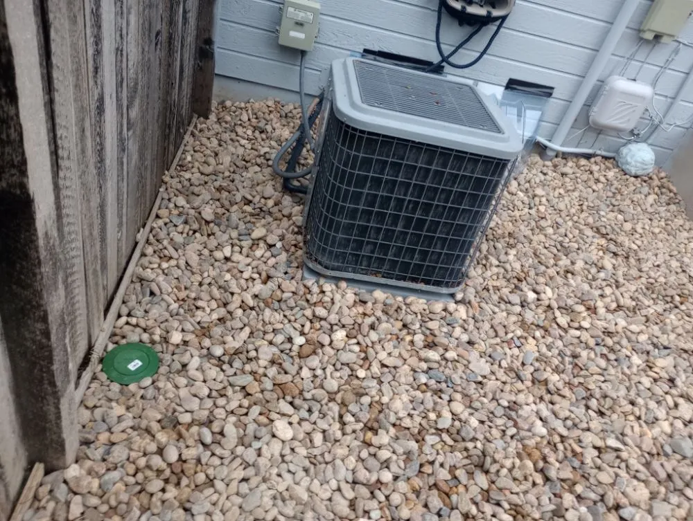 Professional landscape design in Denver, CO by Denver Concrete and Landscaping