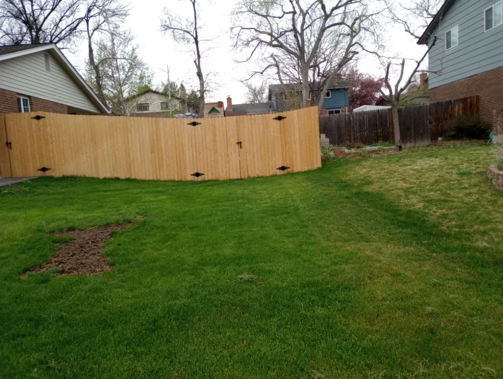 Custom landscaping services for outdoor upgrades in Denver, CO by Denver Concrete and Landscaping