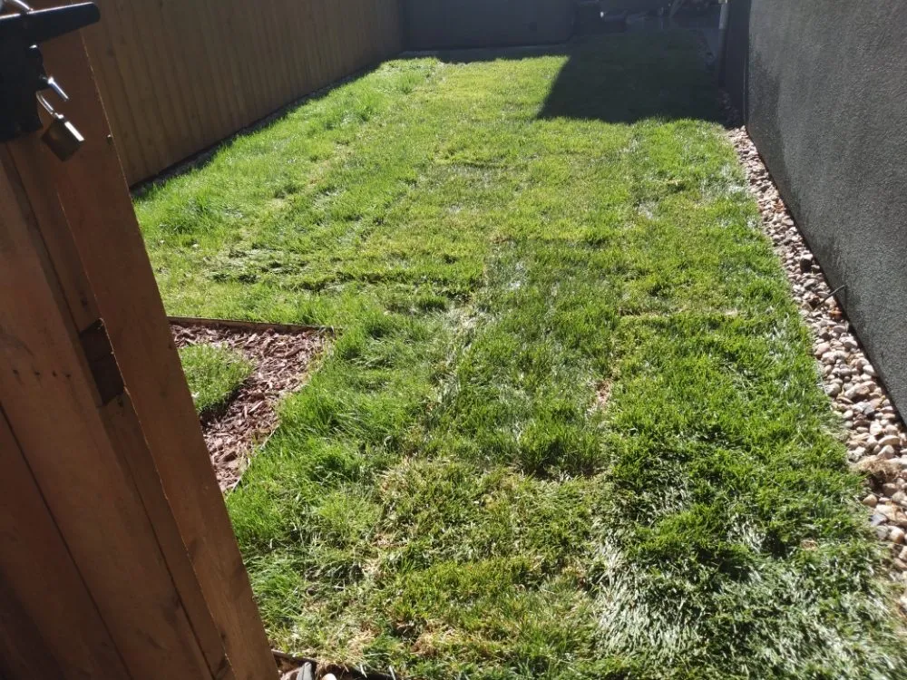 Trusted landscaping services near you across Denver, CO - Denver Concrete and Landscaping