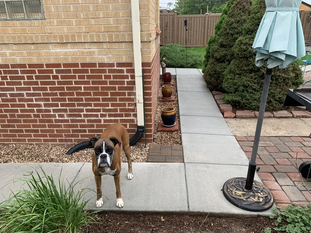 Expert lawn mowing service in Denver, CO by Denver Concrete Company