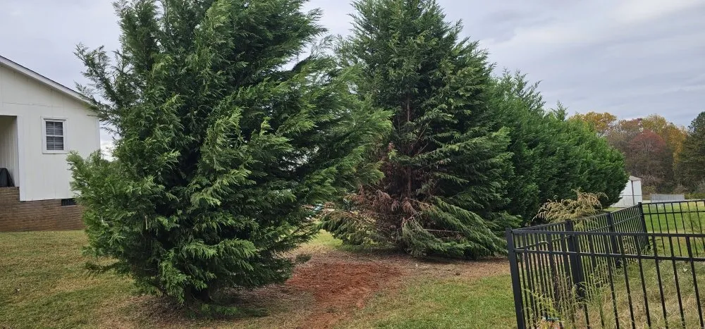 Expert lawn mowing service for residential properties in Maiden, NC by Denver Grading and Land Clearing