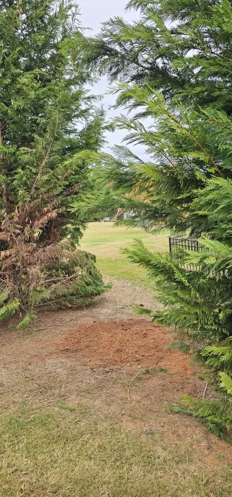 Professional landscape installation in Maiden, NC - Denver Grading and Land Clearing