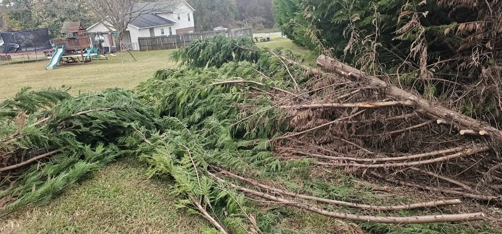 Local lawn care service in Maiden, NC by Denver Grading and Land Clearing