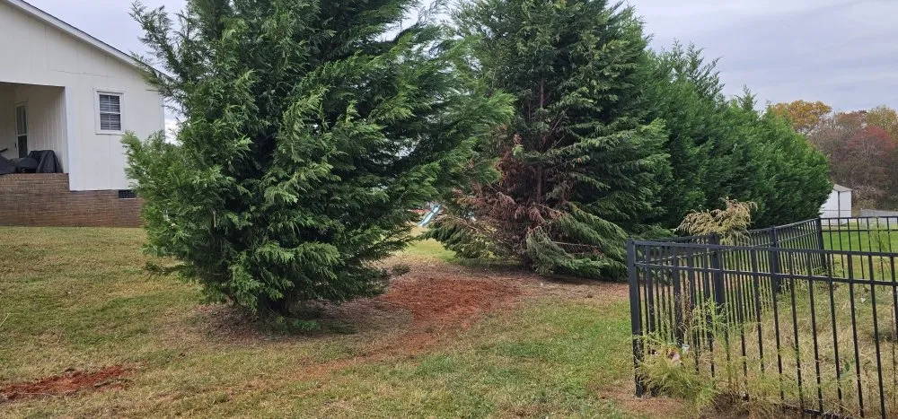 Professional yard maintenance near you in Maiden, NC by Denver Grading and Land Clearing