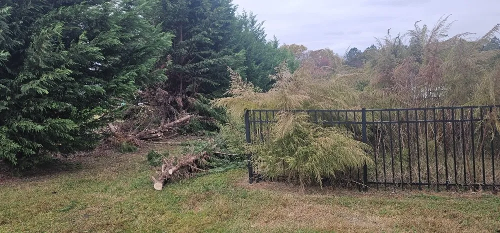 Local landscape installation experts serving Maiden, NC - Denver Grading and Land Clearing