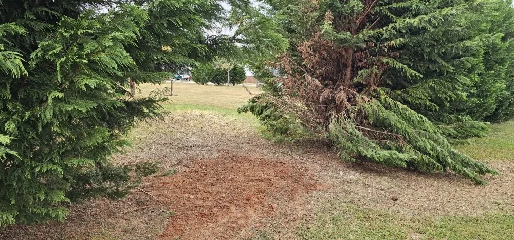 Top-rated lawn care service for outdoor upgrades in Maiden, NC by Denver Grading and Land Clearing