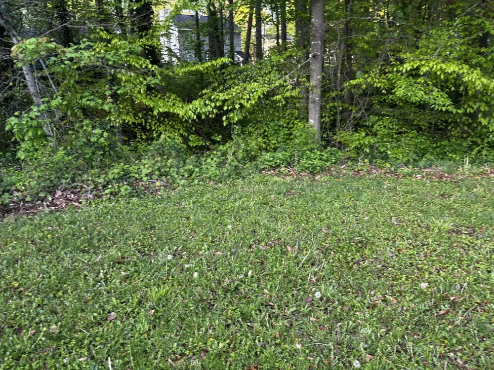 Top-rated outdoor landscaping with custom design in Maiden, NC by Denver Grading and Land Clearing