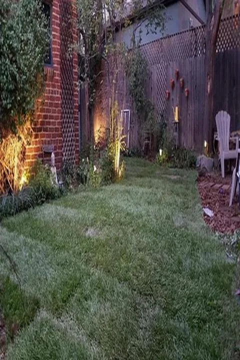 Top-rated residential landscaping for outdoor upgrades across Denver, CO - Denver Lawn and Landscape