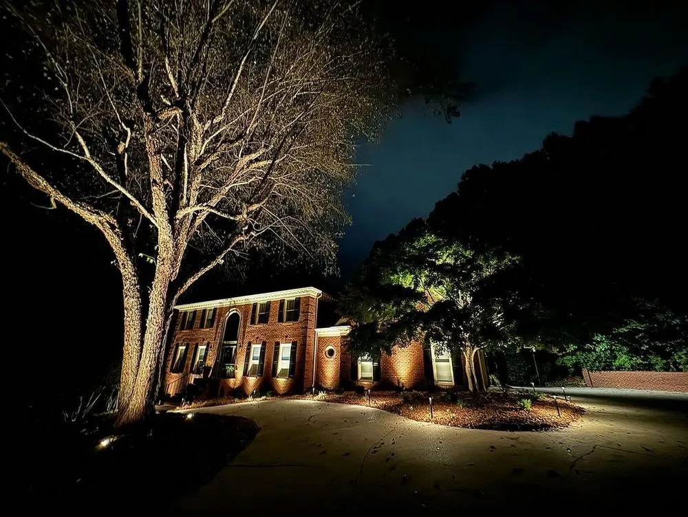 Professional yard cleanup service near you in Denver, CO by Denver Outdoor Lighting Co.