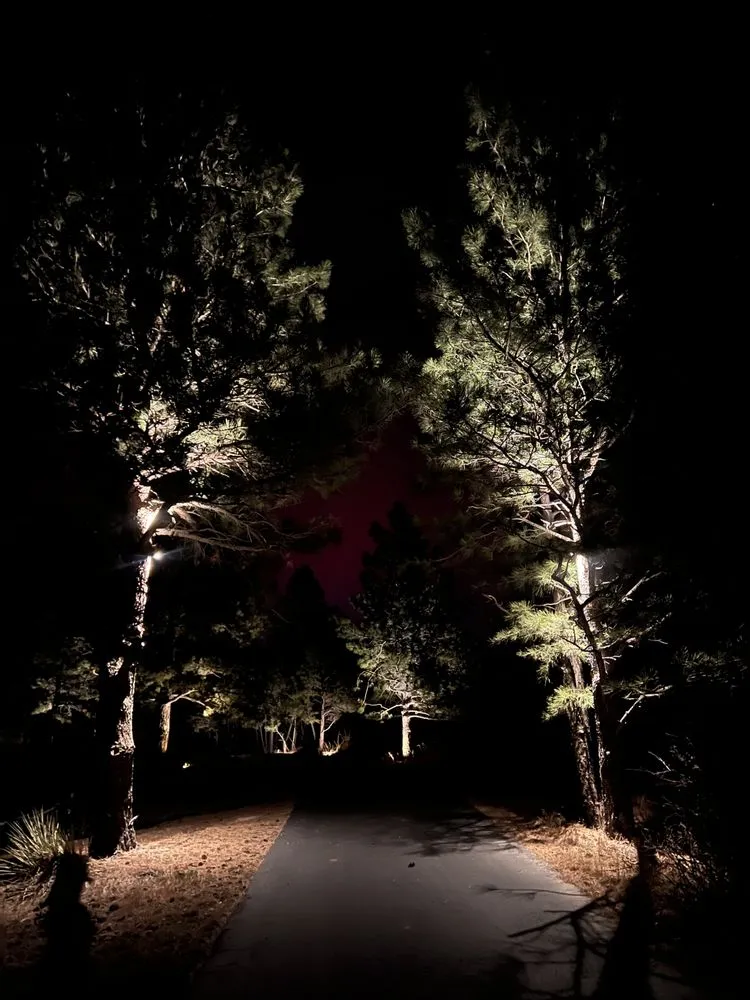 Local yard cleanup service experts serving Denver, CO - Denver Outdoor Lighting Co.