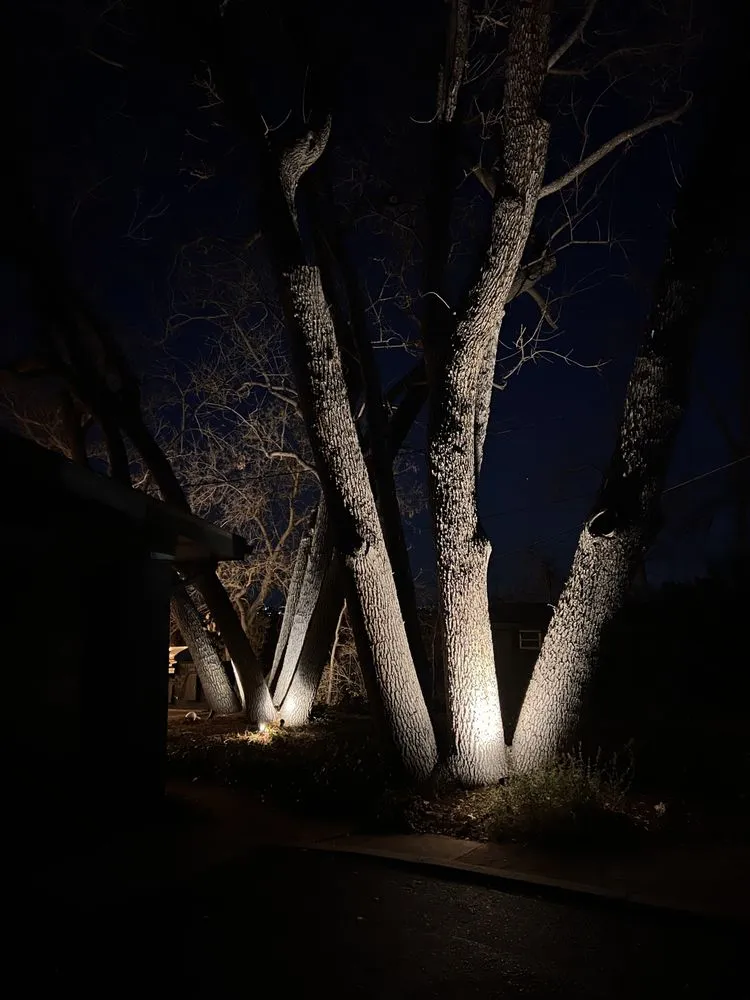 Expert landscaping services for residential properties across Denver, CO - Denver Outdoor Lighting Co.