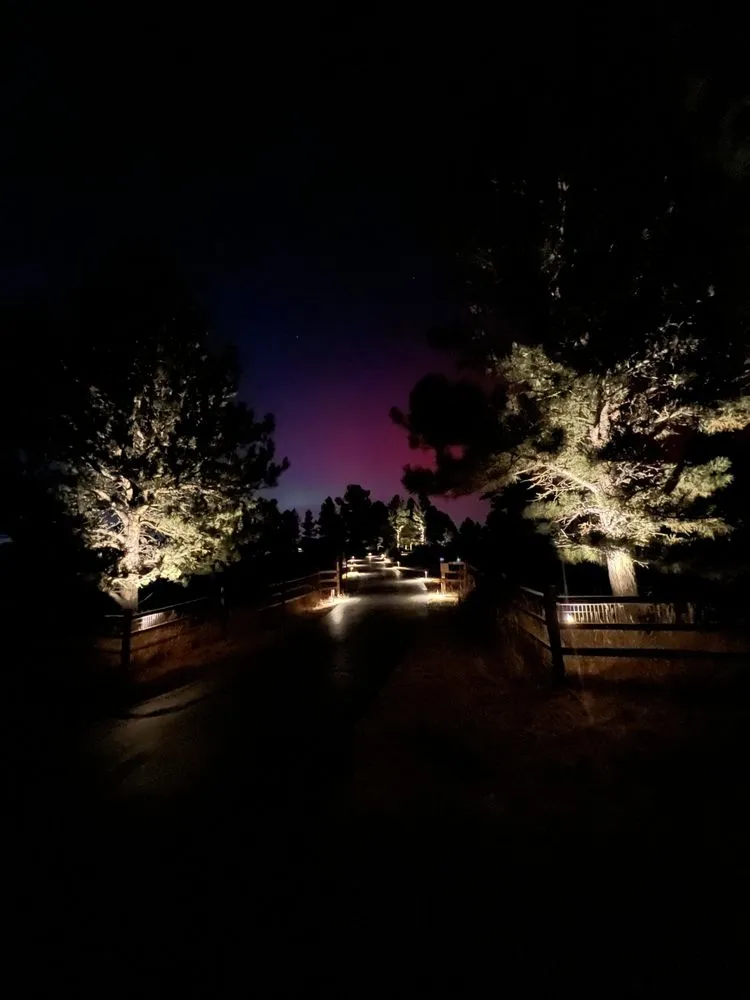 Custom landscape installation in Denver, CO by Denver Outdoor Lighting Co.