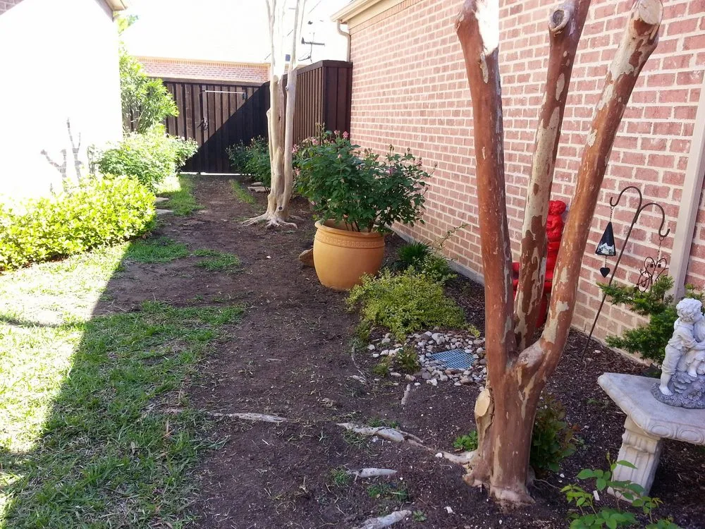 Reliable yard maintenance with custom design across Littleton, CO - Denver Outdoor Solutions