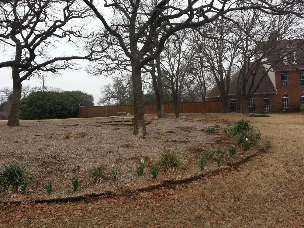 Reliable yard maintenance in Littleton, CO by Denver Outdoor Solutions