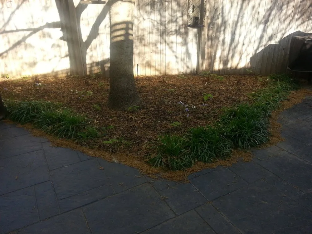 Top-rated landscape design for outdoor upgrades across Littleton, CO - Denver Outdoor Solutions