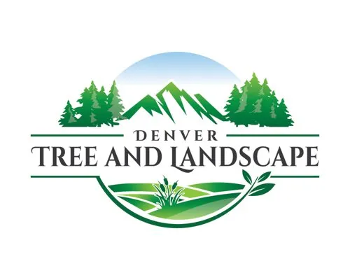 Trusted yard cleanup service in Wheat Ridge, CO - Denver Tree and Landscape