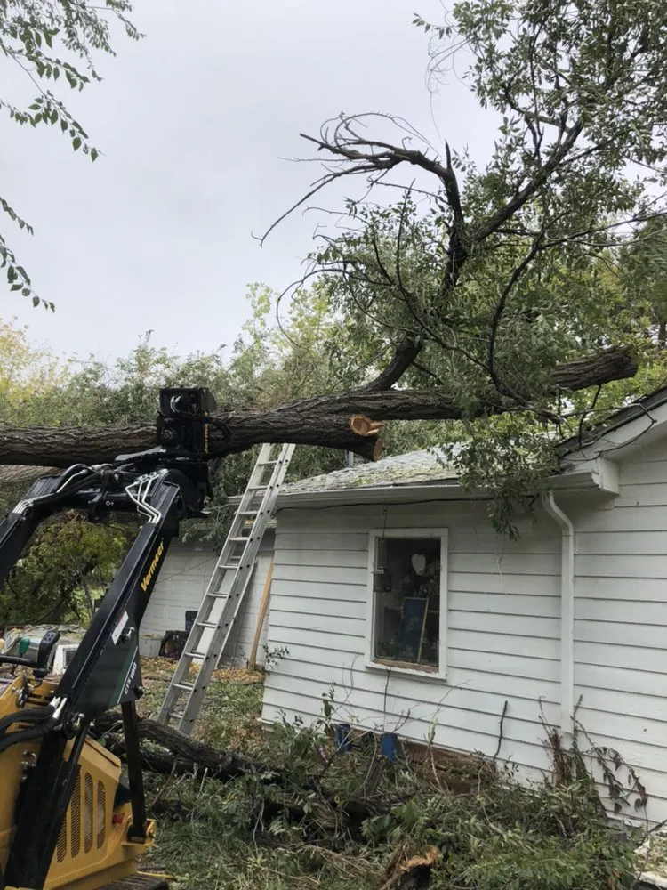 Local landscape design with custom design in Wheat Ridge, CO by Denver Tree and Landscape