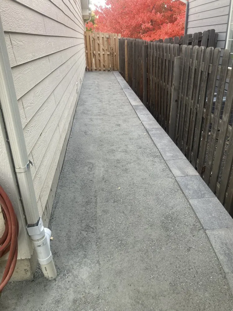 Reliable yard cleanup service for residential properties across Wheat Ridge, CO - Denver Tree and Landscape