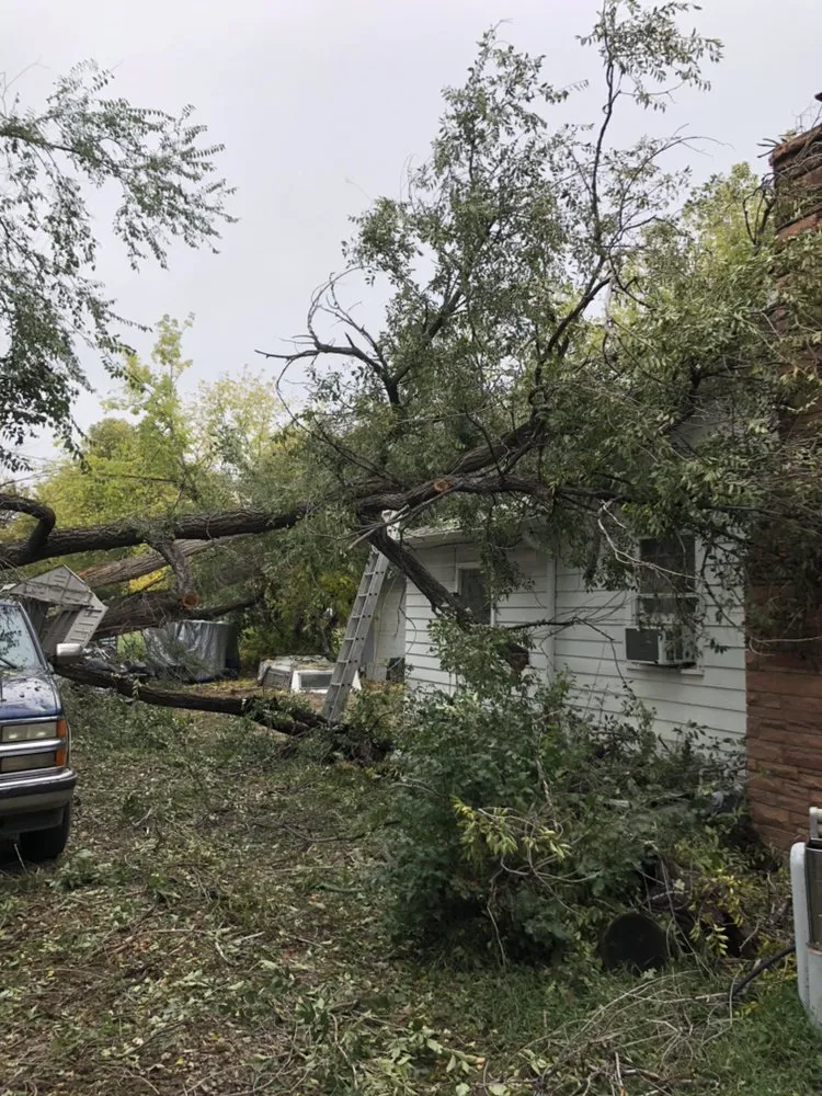Professional landscape design for outdoor upgrades in Wheat Ridge, CO by Denver Tree and Landscape