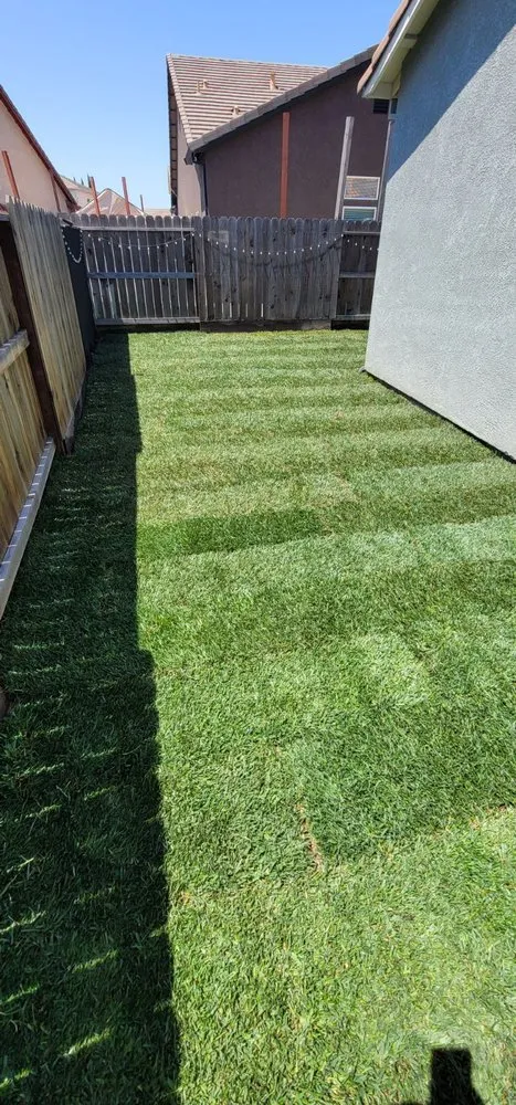 Trusted lawn mowing service in Salida, CA - Deo Gloria Lawn Care