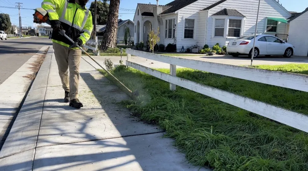 Local landscape design for residential properties across Salida, CA - Deo Gloria Lawn Care