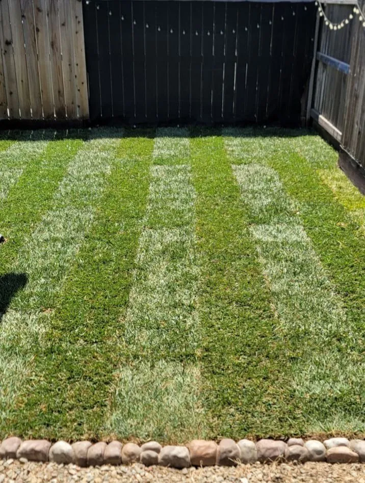 Local yard cleanup service near you across Salida, CA - Deo Gloria Lawn Care