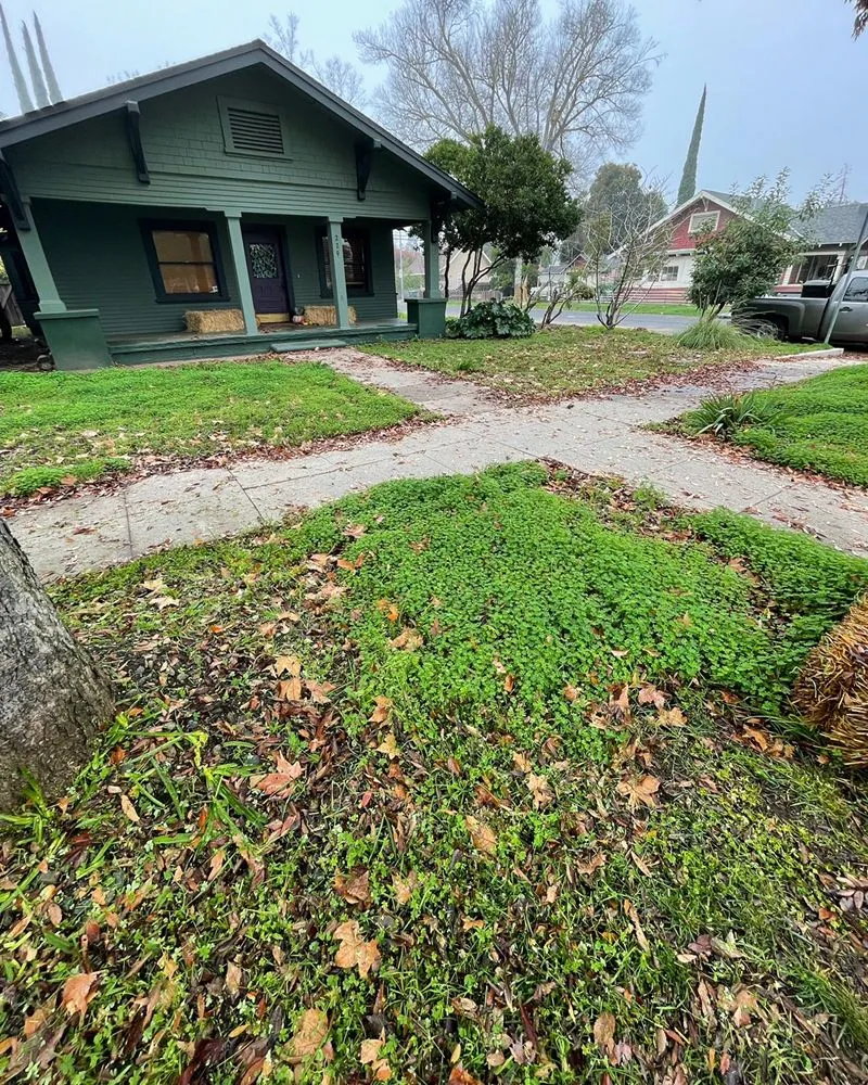 Trusted outdoor landscaping for homes across Salida, CA - Deo Gloria Lawn Care