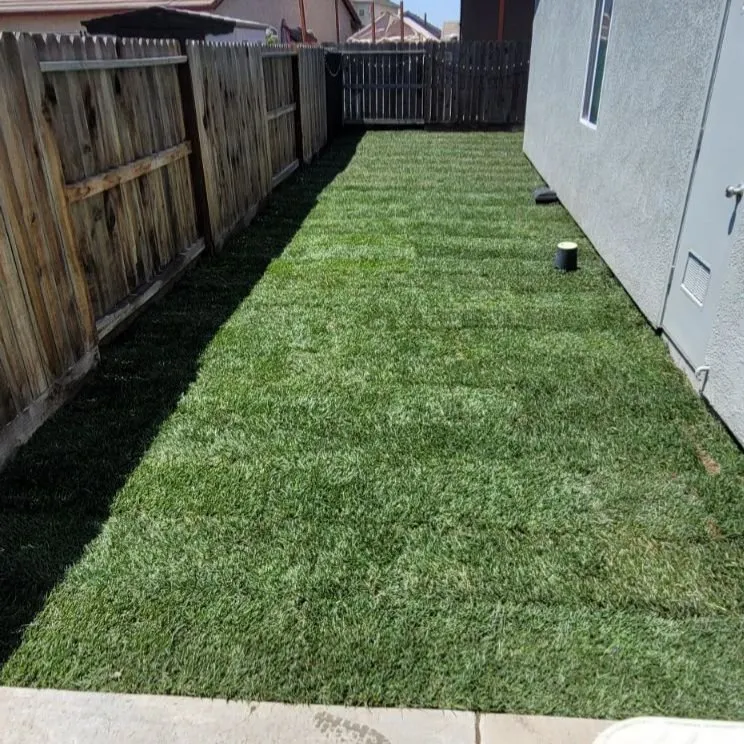 Trusted residential landscaping in Salida, CA - Deo Gloria Lawn Care