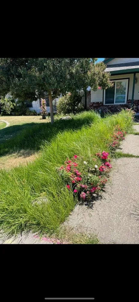 Trusted lawn care service for outdoor upgrades in Salida, CA by Deo Gloria Lawn Care