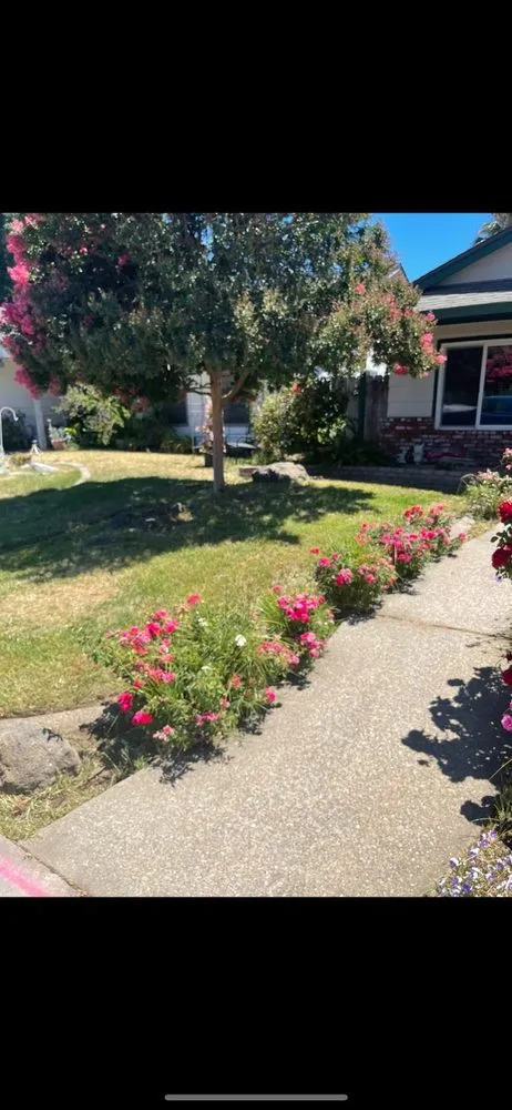 Expert landscaping services in Salida, CA - Deo Gloria Lawn Care