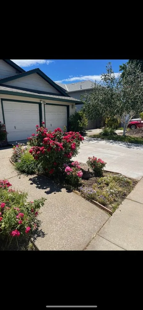 Top-rated landscaping services in Salida, CA by Deo Gloria Lawn Care