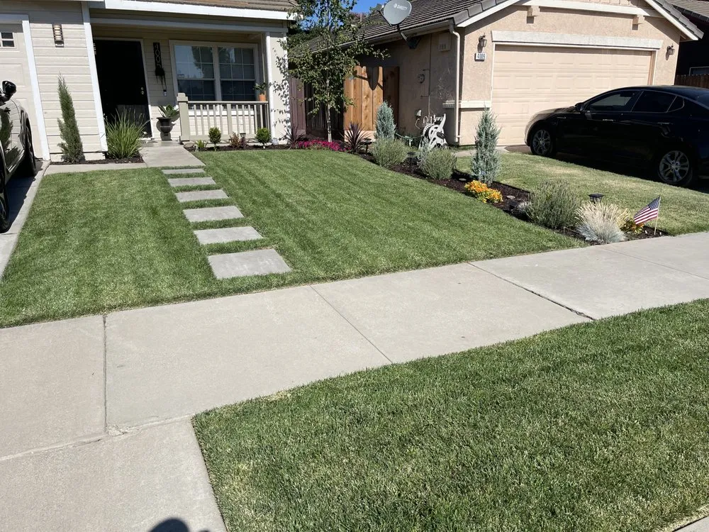 Top-rated lawn care service experts serving Salida, CA - Deo Gloria Lawn Care