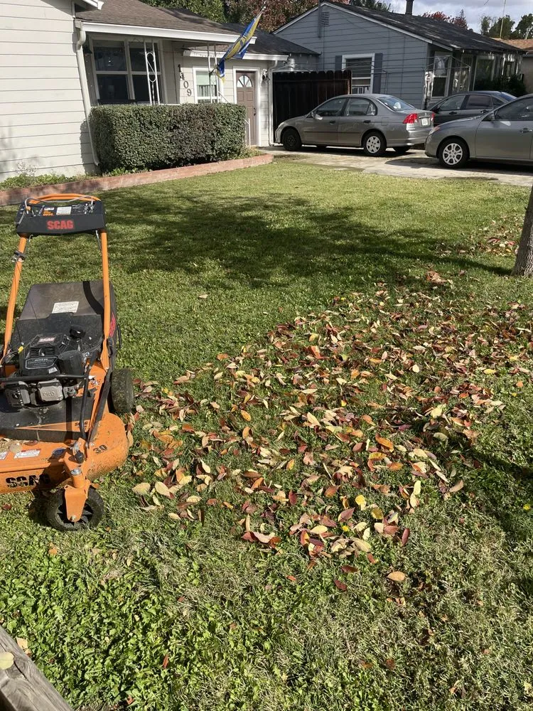 Reliable garden landscaping experts serving Salida, CA - Deo Gloria Lawn Care