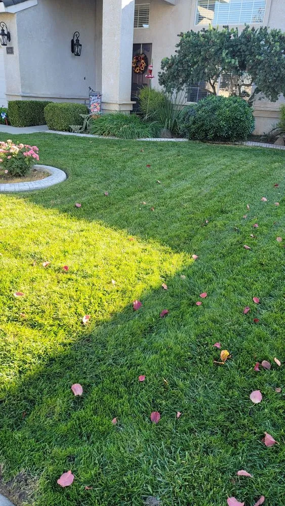 Professional residential landscaping for outdoor upgrades in Salida, CA by Deo Gloria Lawn Care