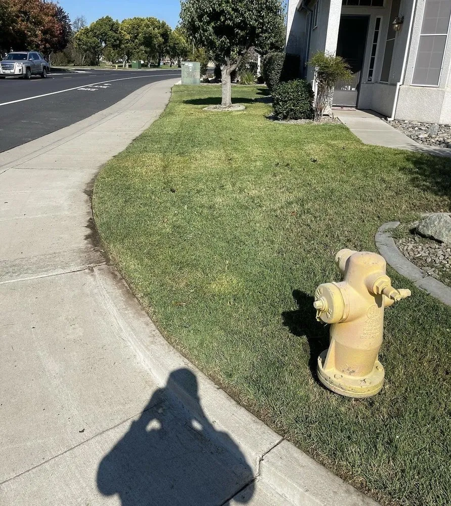 Top-rated lawn mowing service in Salida, CA by Deo Gloria Lawn Care