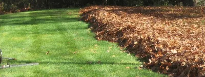 Top-rated landscaping services in Wallingford, CT - DePaolo and Gagne Landscaping