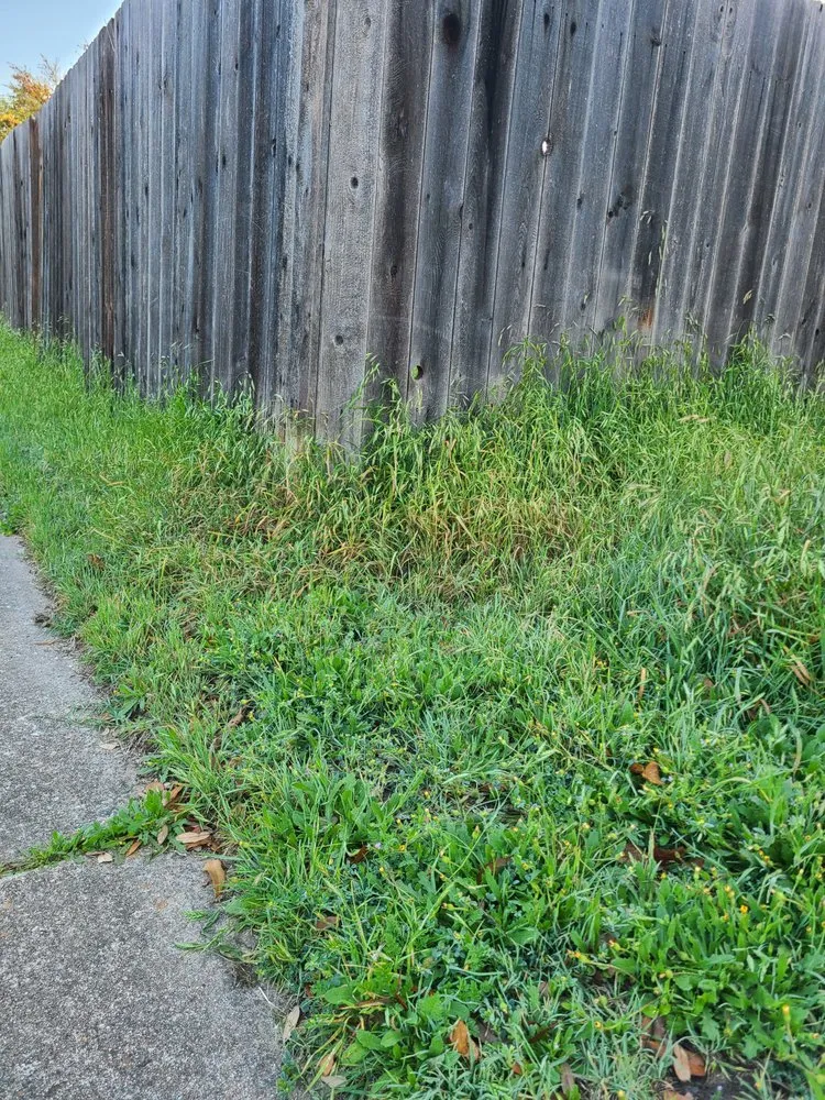 Reliable lawn care service for residential properties across Round Rock, TX - Dependable Christian Man Lawn Care