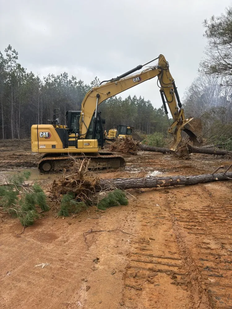 Trusted yard cleanup service in Booneville, MS - Dependable Dozer Work