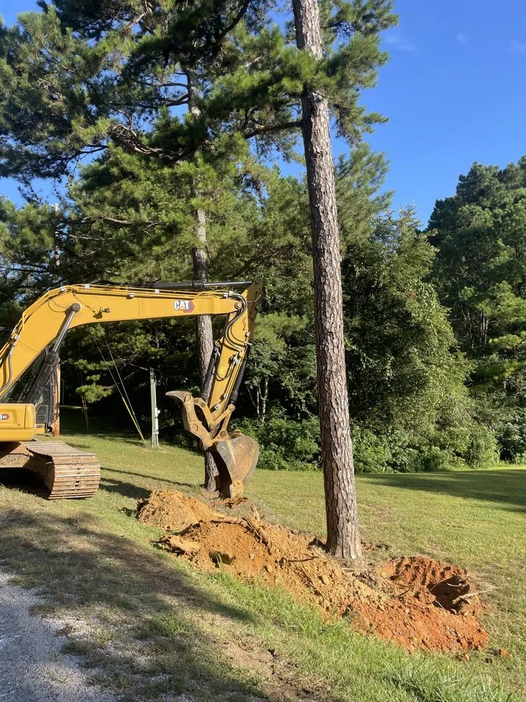 Top-rated yard cleanup service in Booneville, MS by Dependable Dozer Work