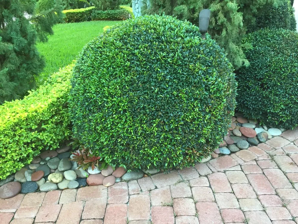 Custom lawn care service experts serving Miami, FL - Dependable Exterminators