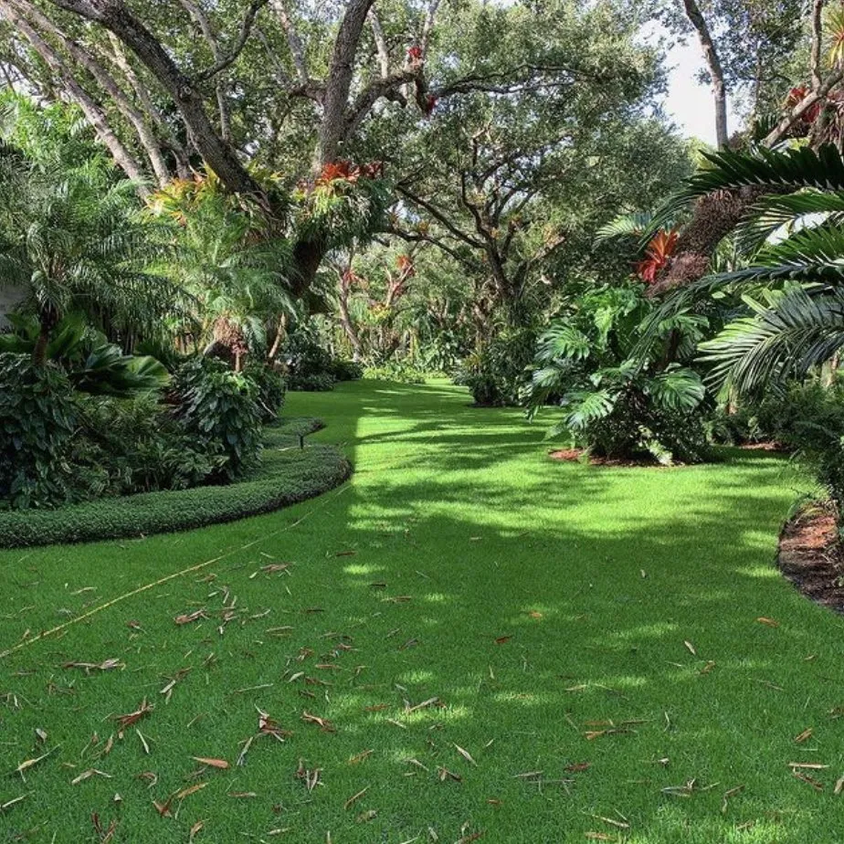 Reliable outdoor landscaping for homes across Miami, FL - Dependable Exterminators