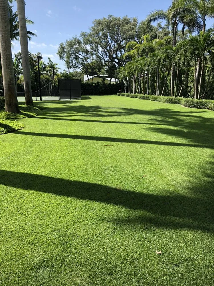 Custom yard maintenance in Miami, FL by Dependable Exterminators