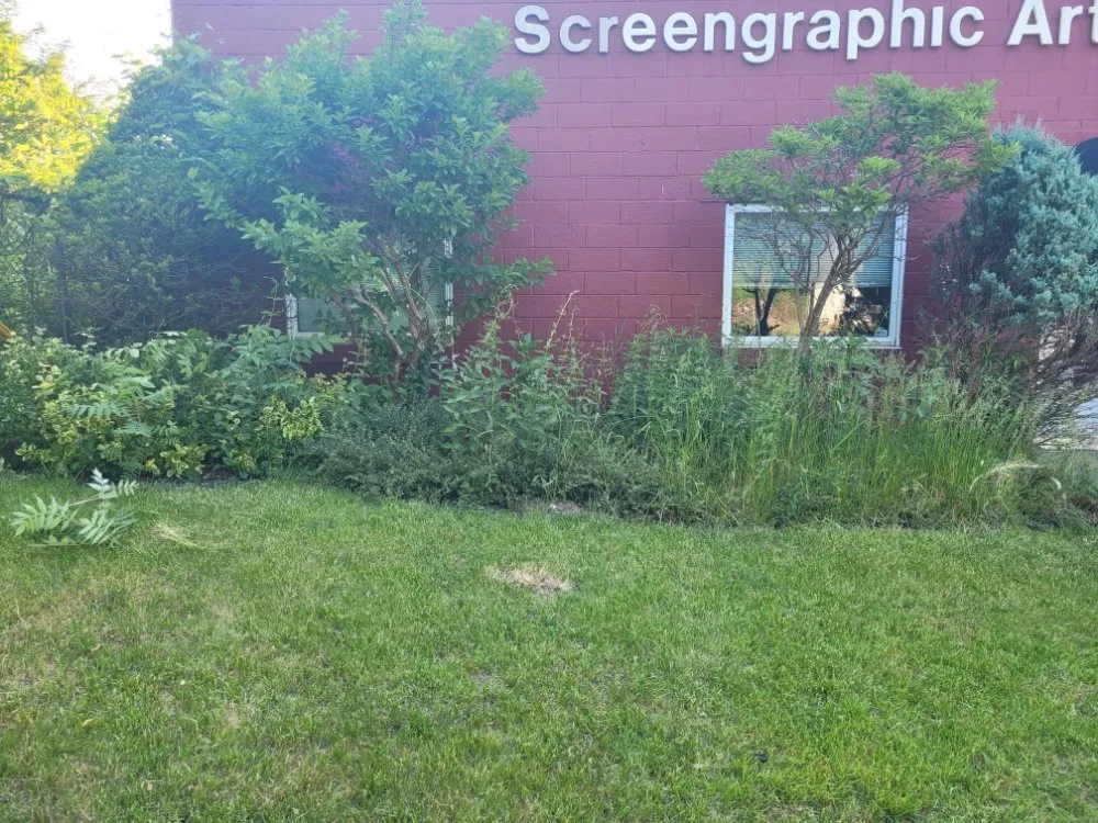 Trusted yard maintenance in Syracuse, NY - Dependable Labor 4 Less