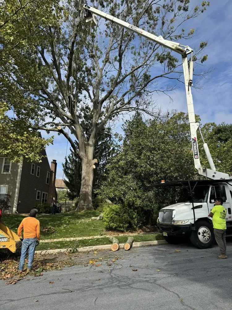 Professional landscaping services in West Deptford, NJ - Dependable Land Maintenance