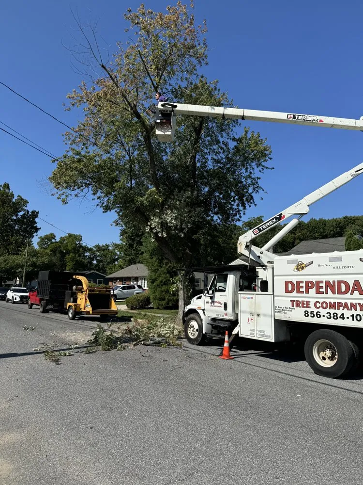 Reliable landscape design in West Deptford, NJ - Dependable Land Maintenance