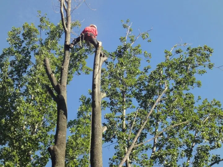 Top-rated yard cleanup service for homes across West Deptford, NJ - Dependable Land Maintenance