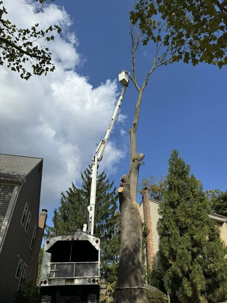 Expert lawn care service for year-round maintenance across West Deptford, NJ - Dependable Land Maintenance