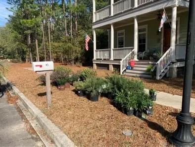Reliable yard cleanup service in Myrtle Beach, SC by Dependable Lawn & Landscape Design